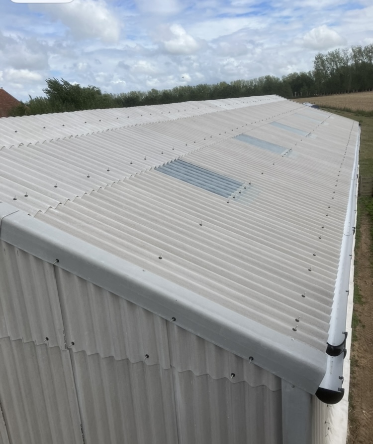 Agricultural shed cladding